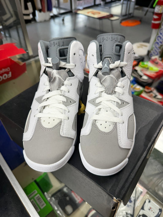 2023
Air Jordan 6 Retro 'Cool Grey'